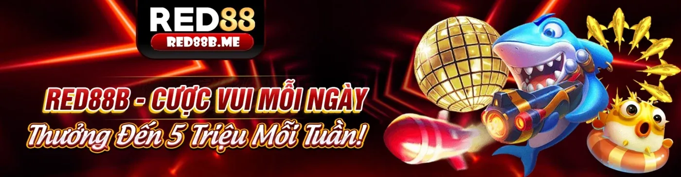 Hình ảnh tổng quan về nền tảng bk8 win